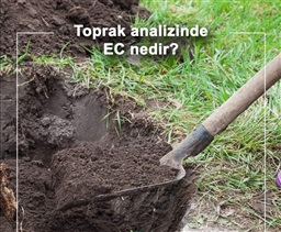 Toprak analizinde EC nedir?
